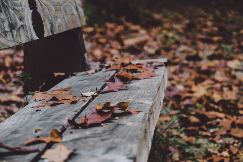 Get Your Home Smelling Like Autumn